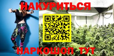 сатива Гатчина