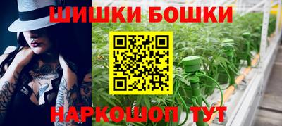сатива Гатчина