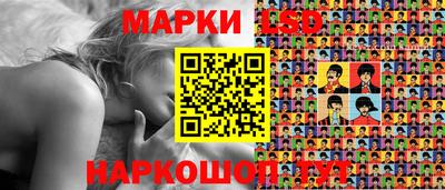 сатива Гатчина