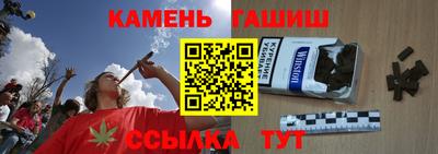 сатива Гатчина