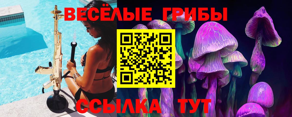Миллерово  Псилоцибиновые грибы Cubensis  Вход с VPN 